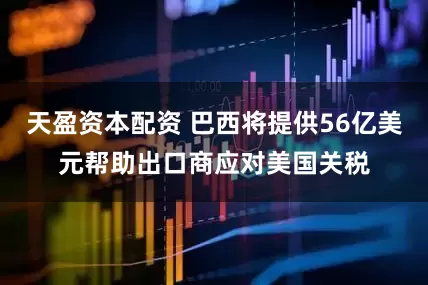天盈资本配资 巴西将提供56亿美元帮助出口商应对美国关税